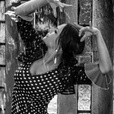 Flamenco im Regen (schwarz-weiß)